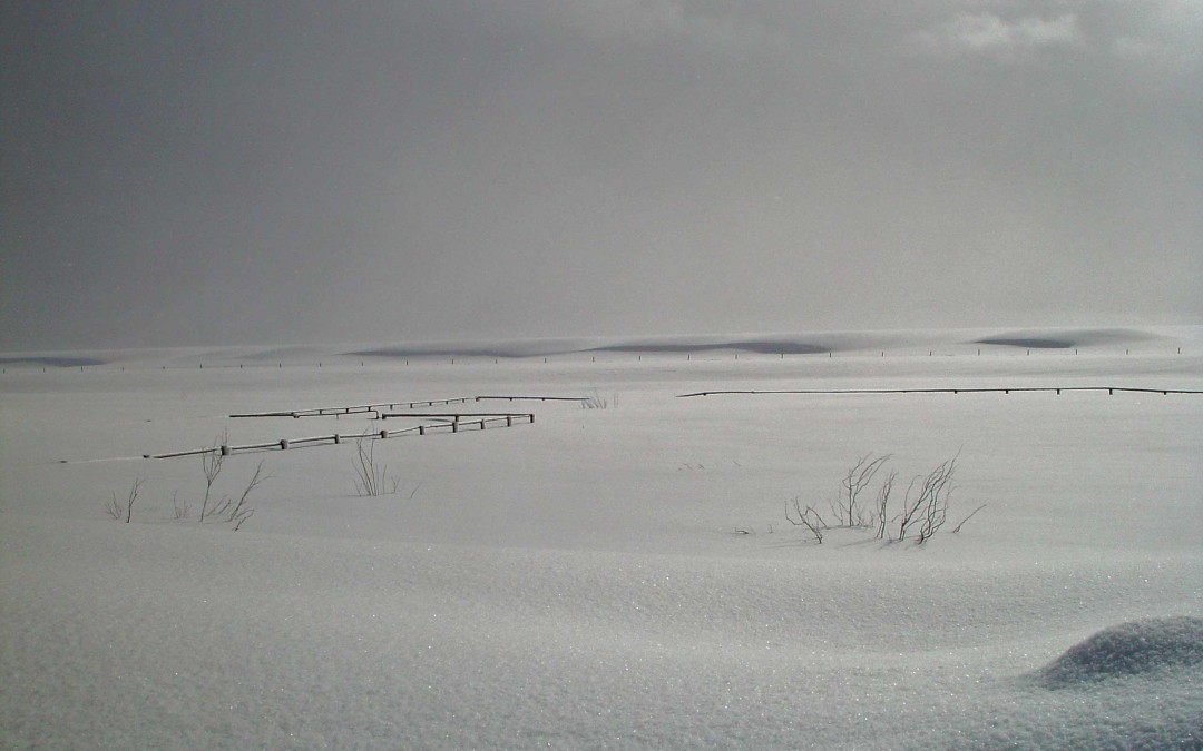 GROOMING SLOWS AT ALTURAS SKI TRAILS