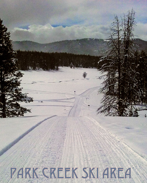 More March snow falling on ski trails