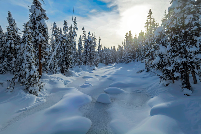 IRIS LINGERS IN BLANKETING SNOWS