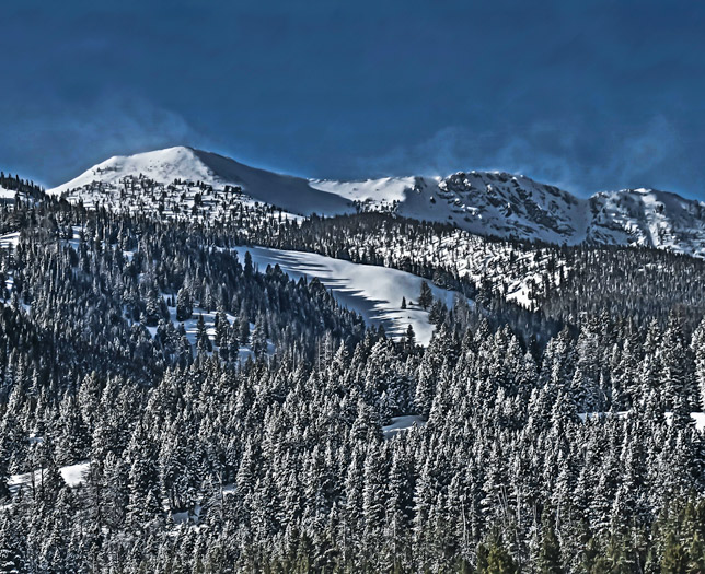 A bit of new snow on Alturas Ski Trails